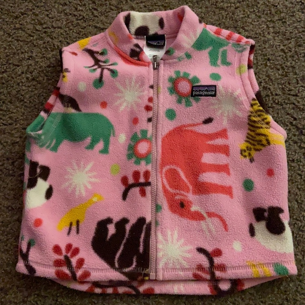 Patagonia fleece vest